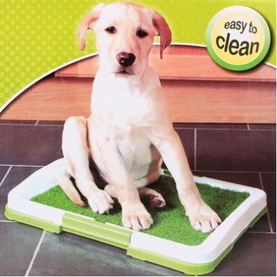 wc ili toalet za pse green trainer