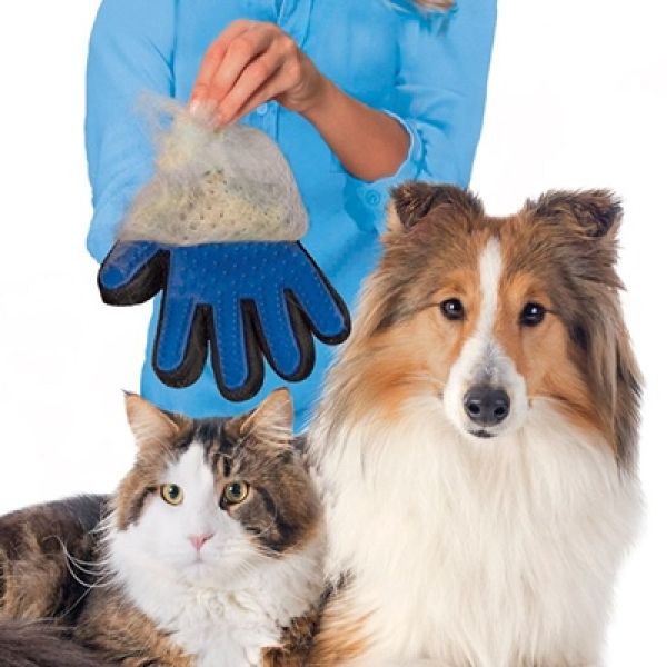 Silikonska rukavica za češljanje pasa i mačaka te odstranjivanje otpale životinjske dlake