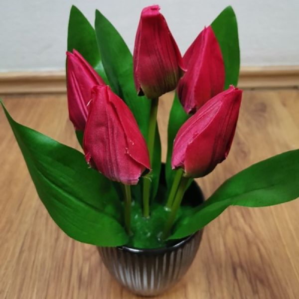 Umetni tulipani