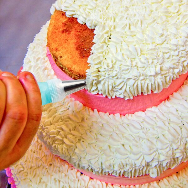 12- dijelni slastičarski pribor za ukrašavanje torti i kolača