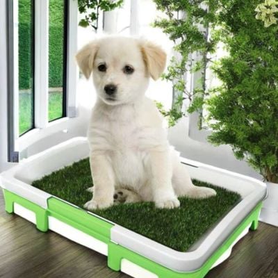 WC ili Toalet za pse Green Trainer